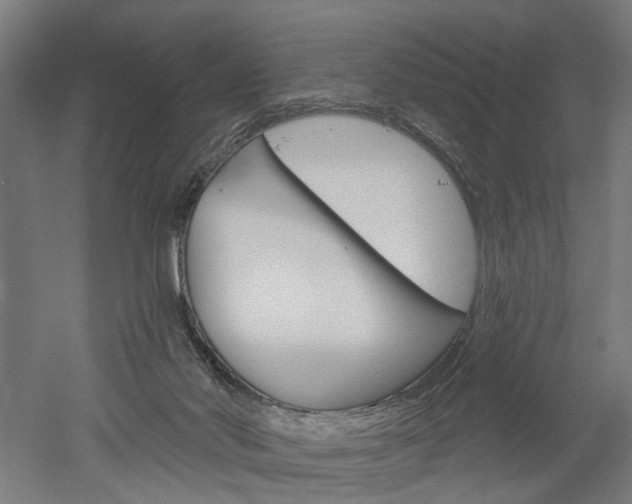 X0000052540022200507010831
