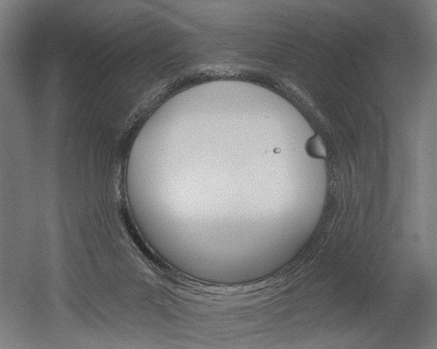 X0000052540023200507010831