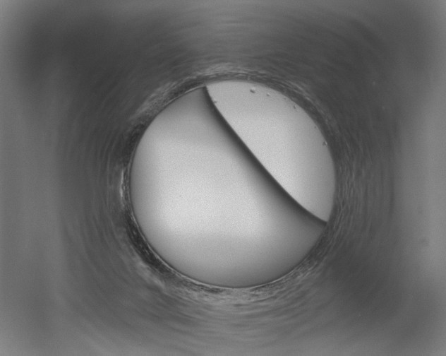 X0000052540024200507010831