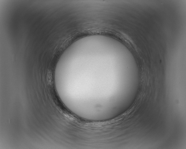 X0000052540025200507010831