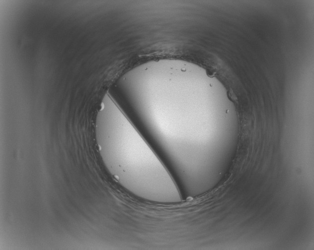 X0000052540029200507010830