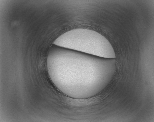 X0000052540034200507010830