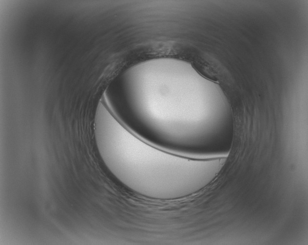X0000052540035200507010830