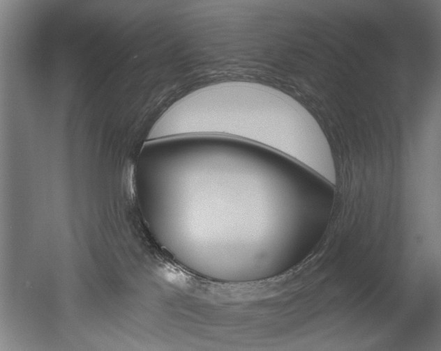 X0000052540041200507010830