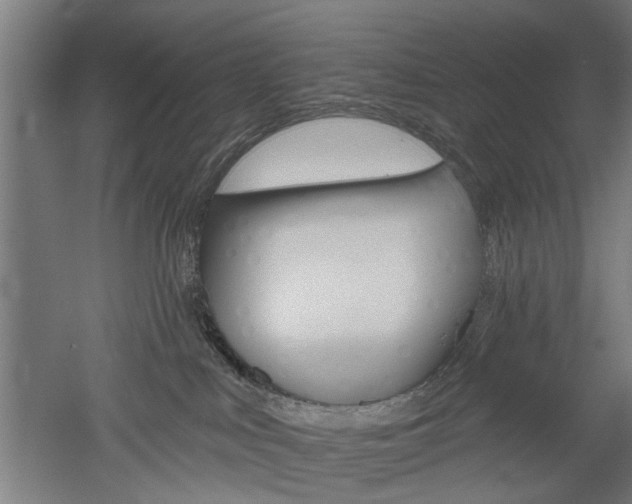 X0000052540043200507010830