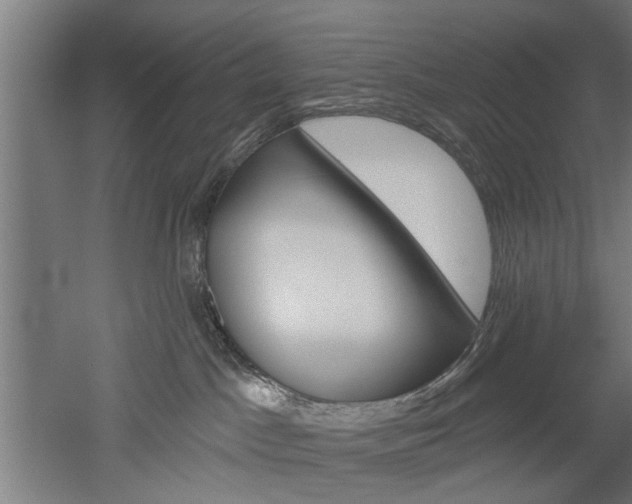 X0000052540045200507010830