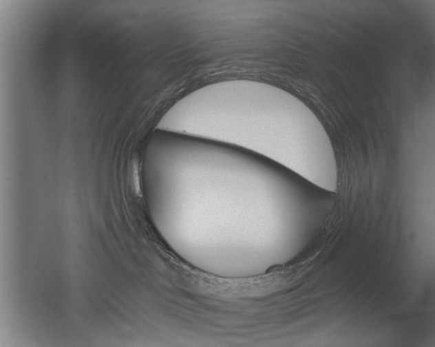 X0000052540046200507010830