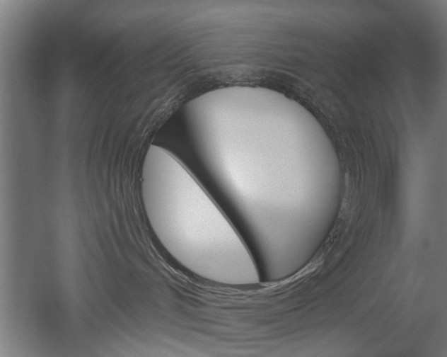 X0000052540048200507010830