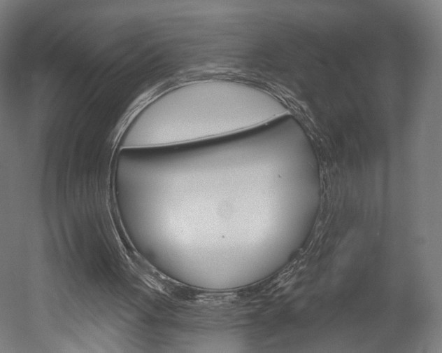 X0000052540051200507010829