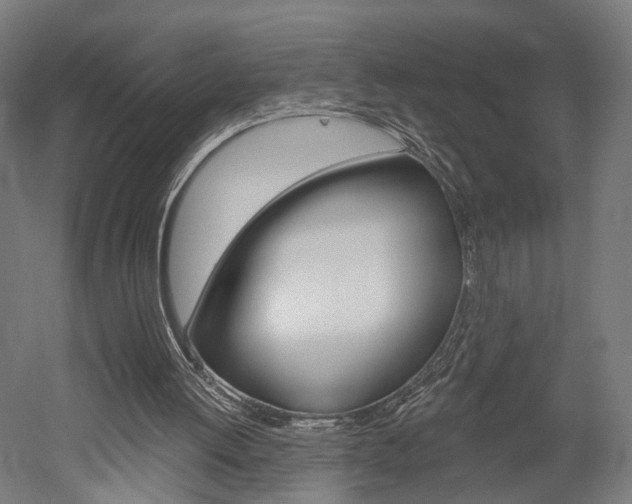 X0000052540052200507010829