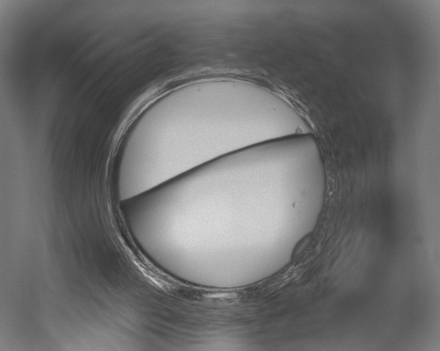 X0000052540053200507010829