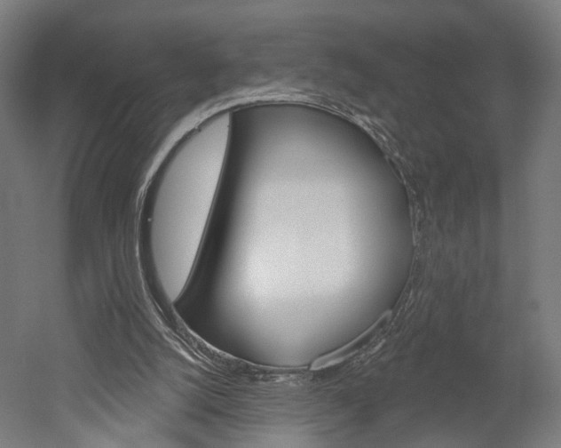 X0000052540056200507010829