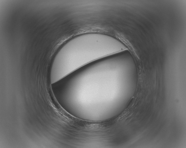 X0000052540058200507010829