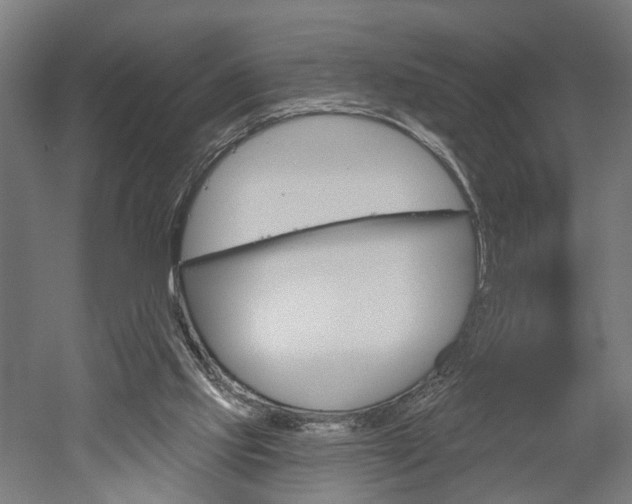 X0000052540061200507010830