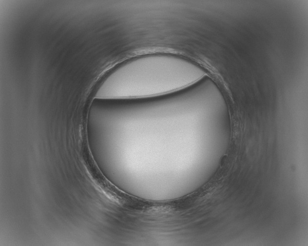 X0000052540063200507010830