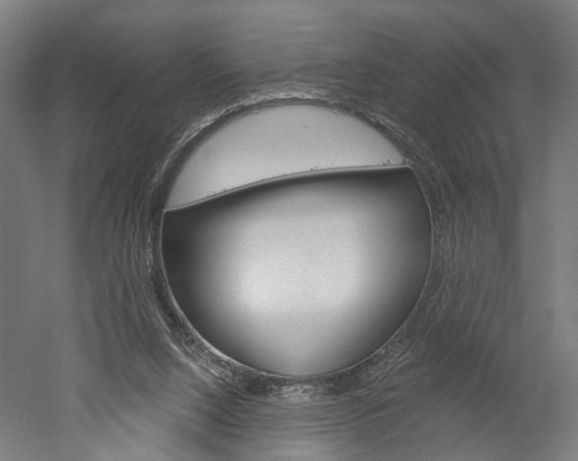 X0000052540064200507010830