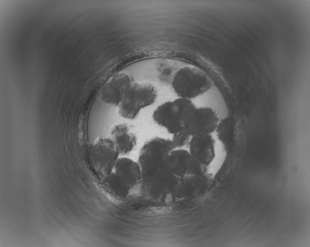 X0000052540065200507010830