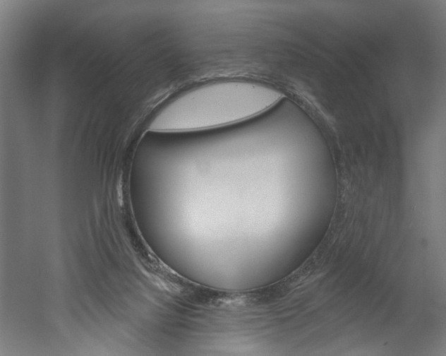 X0000052540068200507010830