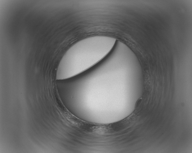 X0000052540074200507010830