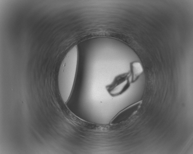 X0000052540080200507010830