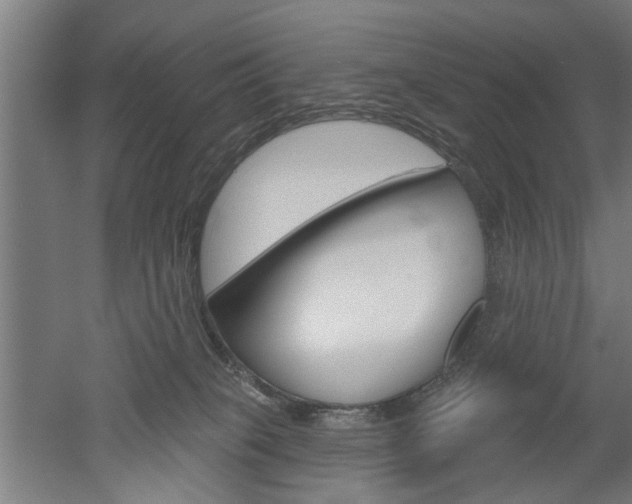 X0000052540085200507010830