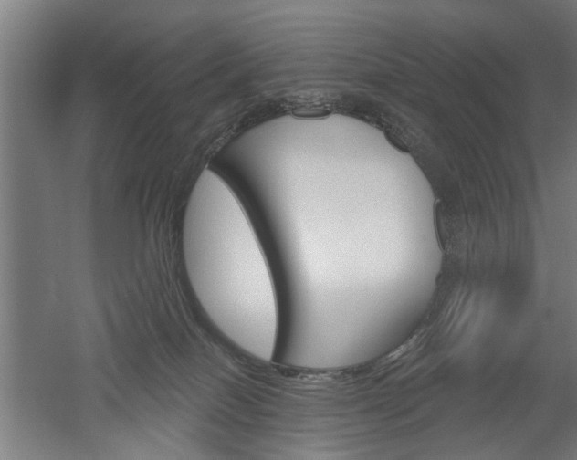 X0000052540086200507010830