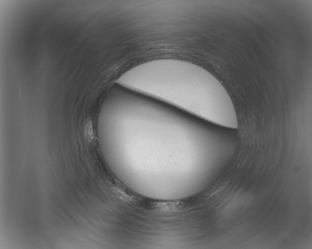 X0000052540089200507010830