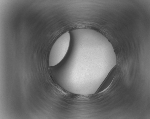 X0000052540094200507010830