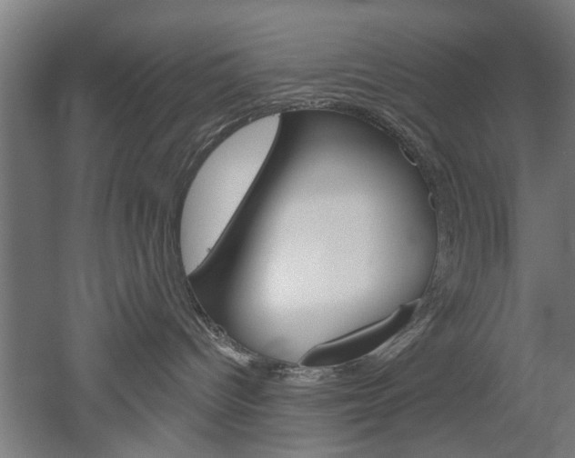 X0000052540096200507010830