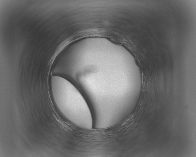 X0000052540099200507010829