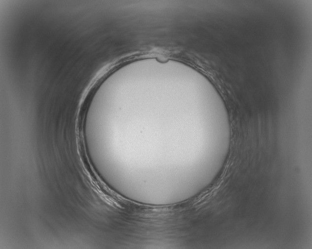 X0000052540102200507010829