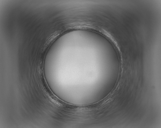 X0000052540105200507010829
