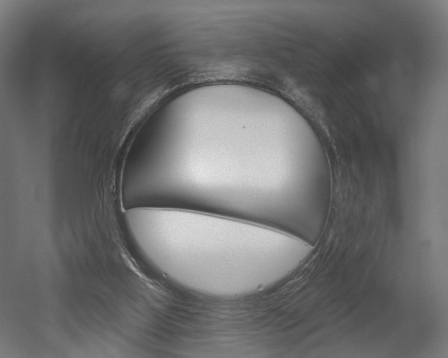 X0000052540107200507010829