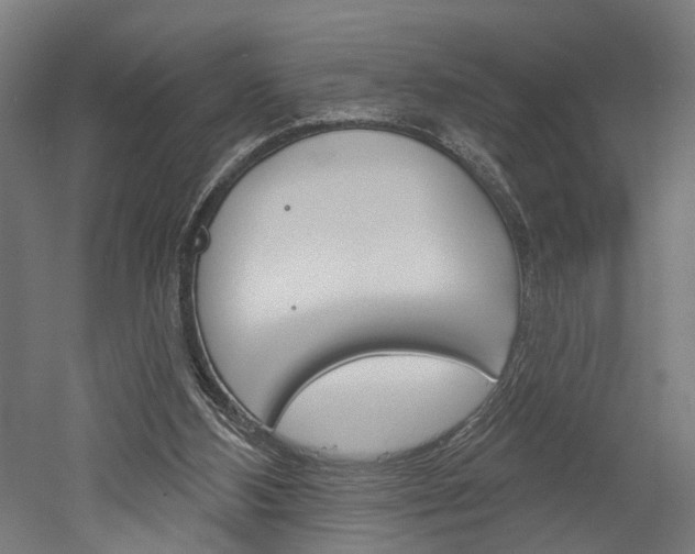 X0000052540108200507010829