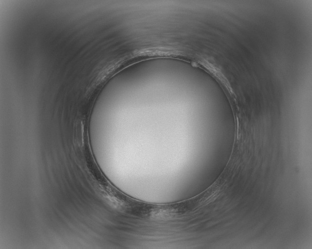 X0000052540109200507010829
