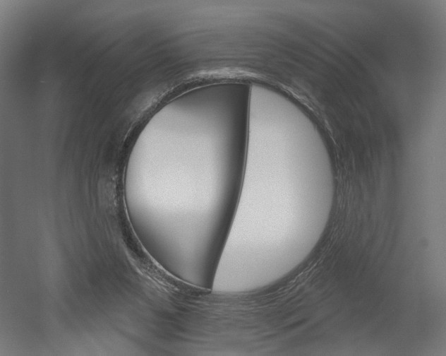 X0000052540111200507010829