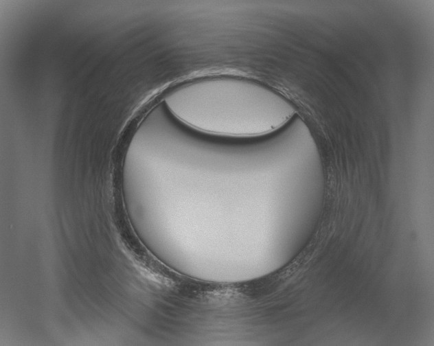 X0000052540112200507010829