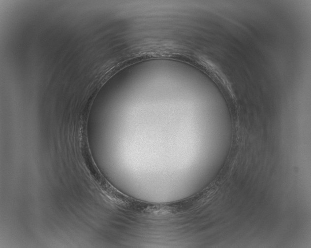 X0000052540113200507010829