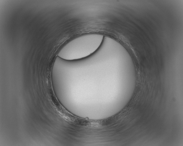 X0000052540114200507010829