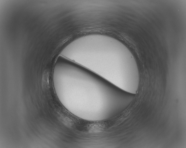 X0000052540115200507010829