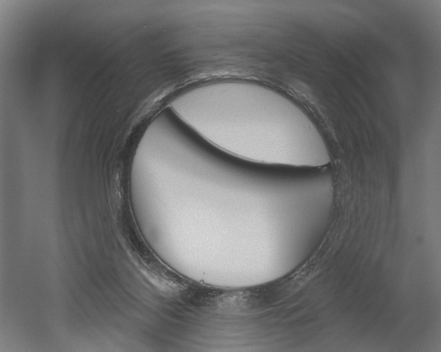 X0000052540116200507010829