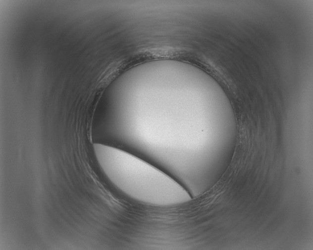 X0000052540117200507010829