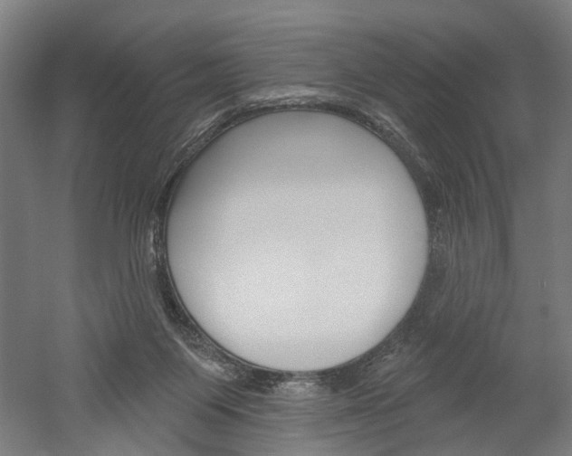 X0000052540119200507010829