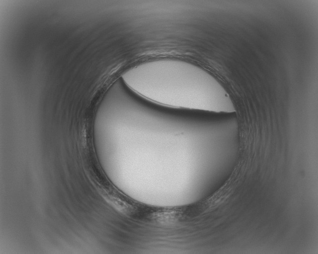 X0000052540120200507010829