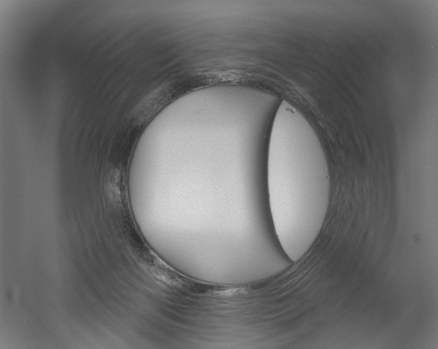 X0000052540122200507010829