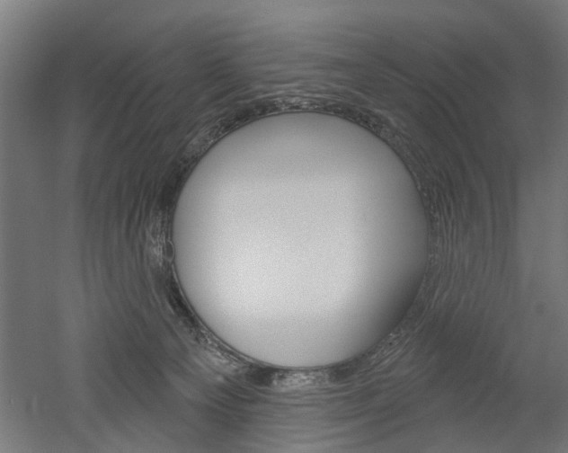 X0000052540129200507010829