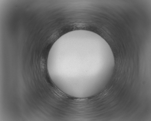 X0000052540135200507010829
