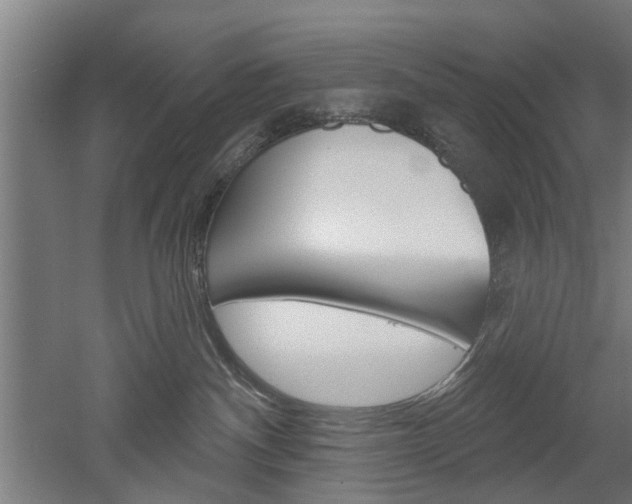 X0000052540140200507010829