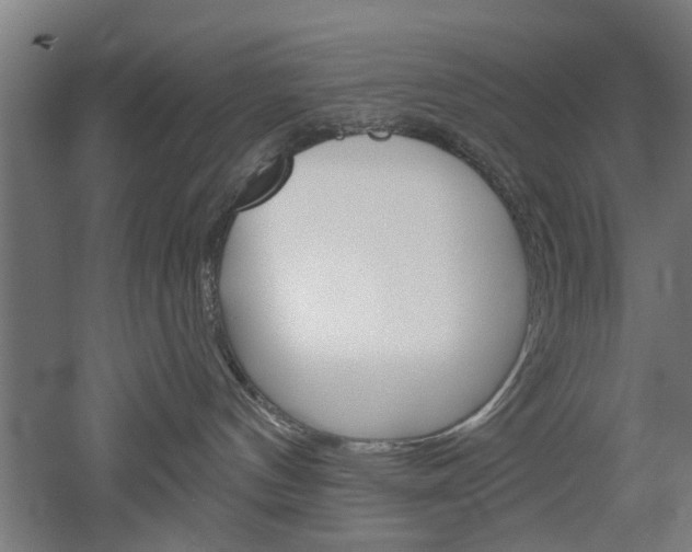 X0000052540144200507010828