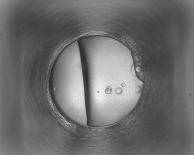 X0000052540145200507010828
